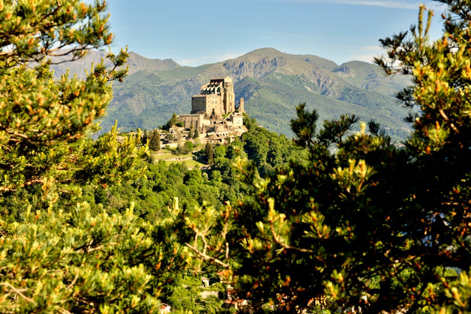 A distant view of a historic castle situated on a hilltop, surrounded by lush green trees and vegetation, with mountains in the background under a clear blue sky. The castle features stone walls, towers, and battlements, and is partially visible through the dense foliage of pine trees in the foreground. The scene appears to be captured during daytime with natural daylight illuminating the landscape. This image reflects a scenic location that could be relevant for house removal or relocation services, such as those provided by Man and Van Abbey Wood, emphasizing the importance of careful planning and transport in home relocation or furniture transport processes.