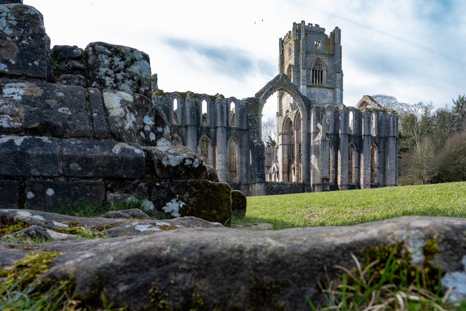 A wide view of the medieval ruins of Lesnes Abbey, featuring weathered stone walls with large arched windows and a central tower, set against a partly cloudy sky. The foreground includes moss-covered rocks and a patch of grass, with some small plants growing among the stones. In the background, leafless trees are visible beyond the ruins. The scene is captured during daylight, highlighting the textures of the ancient stonework. The image is relevant to house removals and moving services provided by Man and Van Abbey Wood, illustrating the type of historical structures that may be involved or located near relocations in the Abbey Wood area.